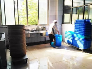 繡湖中學兩校區食堂榮獲金華市2018年度餐飲服務食品安全A級單位