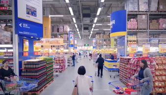 食字路口，守住安全——飲食服務中心開展食品安全培訓